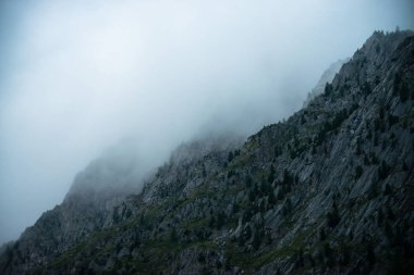 Kalın sis içinde ağaçlar ile hayalet dev kayalar. Sisin içinde gizemli büyük dağ. Sabah ın erken saatlerinde dağlarda. Aşılmaz sis. Karanlık atmosferik ürkütücü manzara. Vahşi doğa sakin mistik atmosfer.