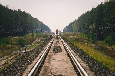Mistik tren orman boyunca demiryolu ile seyahat eder. Demiryolu trafik ışığı ve lokomotif uzakta demiryolu üzerinde. Demiryolu nda Serap. Atmosferik manzara.
