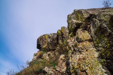 Yeşil ağaçlar ve pembe çiçekler ile güzel kayalık gri dokulu arka plan. Yüzey dağ uçurumu yakın çekim.