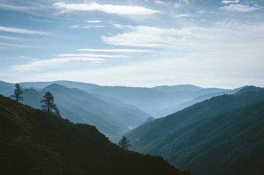Arka aydınlatma da ufukta dağ yamaçları siluetleri arasında vadi üzerinde Sabah sis. Bulutlu gökyüzünde mavi parıltı. Dağ yamacındaki orman. Görkemli doğanın atmosferik dağ manzarası.