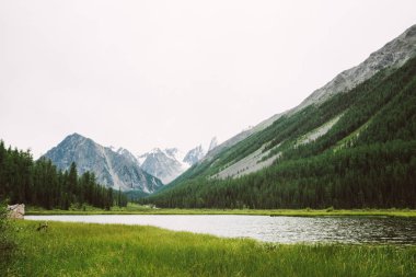 Küçük dağ gölünün arkasındaki harika karlı dağlar ve zengin bitki örtüsü arasında parlak su. Nehir buzuldan akar. Tepede beyaz kar var. Dağlık doğanın şaşırtıcı atmosferik manzarası.