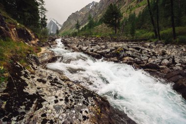 Vahşi dağ deresindeki buzuldan büyük ıslak taşlarla harika bir hızlı su akıntısı. Arka planda karlı dağlar ve ormanlı muhteşem manzaralar. İskoçya 'nın atmosferik manzarası.