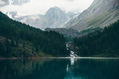Sabahın erken saatlerinde dağ gölü nün yanındaki hayalet orman. Buzuldan gelen dağ deresi göle akar. Pürüzsüz su yüzeyinde dalgalanma. Alçak bulutlar. Koyu atmosferik sisli ahşap manzara. Sakin atmosfer.