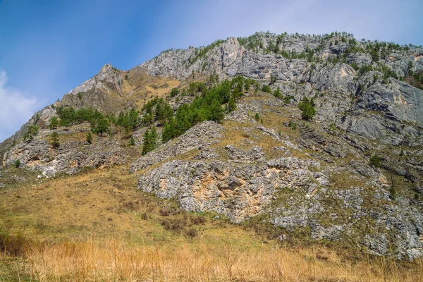 Όμορφο Βραχώδες Πράσινο Βουνό Πράσινο Φυσική Υφή Φόντο Πέτρα Και — Φωτογραφία Αρχείου