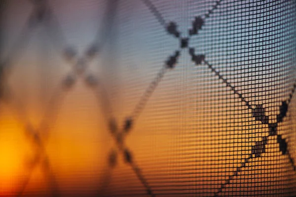 Wonderful Vivid Dawn Window Pattern Curtain Удивительное Теплое Небо Силуэтами — стоковое фото