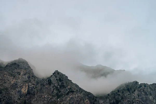 Pedras Gigantes Fantasmagóricas Com Árvores Denso Nevoeiro Misteriosa Montanha Enorme — Fotografia de Stock