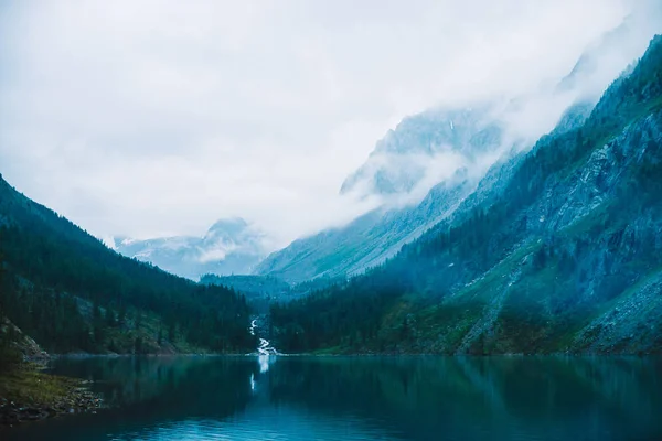 Ghostly Forest Mountain Lake Early Morning Mountain Creek Flows Lake — Stock Photo, Image