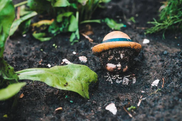 Boneka Kotor Tanah Dekat Tanaman Dan Sampah Old Dilemparkan Mainan — Stok Foto