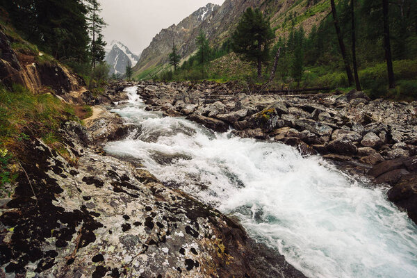 Прекрасный быстрый поток воды из ледника в дикой горной бухте с большими мокрыми камнями. Удивительный живописный пейзаж с лесом и снежными горами на заднем плане. Атмосферные пейзажи высокогорья
.