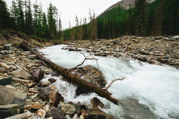 Corrente Água Rápida Maravilhosa Geleira Riacho Montês Selvagem Com Pedras — Fotografia de Stock
