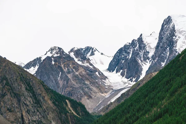 Besneeuwde Bergtop Achter Heuvel Met Bos Onder Bewolkte Hemel Rotsachtige — Stockfoto