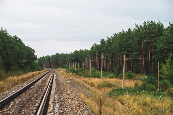 Kolej Podróżuje Perspektywie Całej Lasu Podróż Torze Kolejowym Polacy Drutami — Zdjęcie stockowe