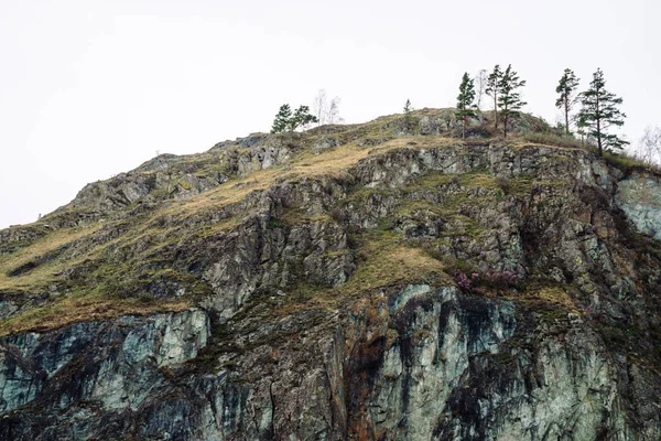 Beautiful rocky gray mountain with green trees and pink flowers. Varicolored natural texture. Background image of cliff.