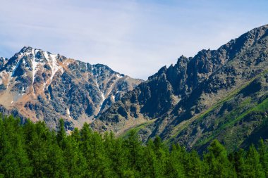 Mavi berrak gökyüzü altında ormanlık tepearkasında karlı dağ tepesinde. Kozalaklı ormanın üzerindeki kayalık sırt. Görkemli doğanın atmosferik minimalist manzara.