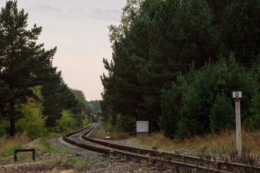 Tren, yoğun çalılıkları açmak için raylardan geçiyor. Karanlık ormanda bükülmüş demiryolu. Lokomotif kıvrımları. Atmosferik karanlık demiryolu manzara.