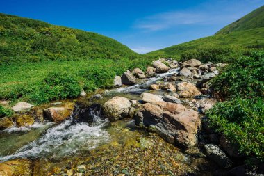 Mavi gökyüzü altında tepelere yakın güneşli yeşil vadide büyük kayalar ile Dağ deresi. Güneş ışığında hızlı dere temiz su akışı. Altay doğasının muhteşem manzarası.