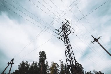 Bulutlu gökyüzü altında ağaçlar arasında yüksek gerilim güç hatları. Kopyalama alanı ile ormanda elektrik dağıtım kulesi. Bulutlu havalarda telleri ile kutuplarda aşağıdan minimalist görünüm.