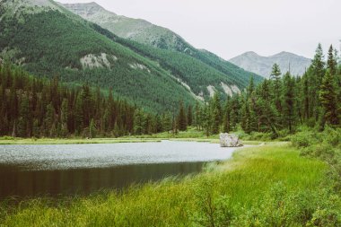 Harika dev dağlara karşı zengin bitki örtüsü arasında parlak yüzeyi ile küçük dağ gölünde büyük taş. Suda kaya. Yaylaların görkemli doğasının muhteşem atmosferik manzarası.
