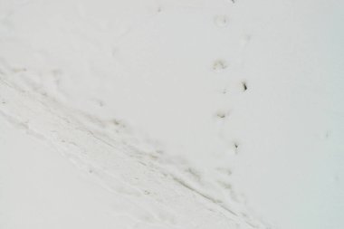 Temiz beyaz karda ayakkabı izleri. Kar akıntısı üzerinde botların izini. Karlı patikanın dokulu kış arka planı. Kar kopya alanı ile yol kaplı. Soyut minimalist karlı hava dokusu.