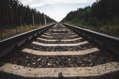 Demiryolu orman boyunca perspektif seyahat. Demiryolu nda yolculuk. Raylar boyunca telleri olan direkler. Kopya alanı ile çalılar ve ağaçlar boyunca demiryolu ile atmosferik manzara.