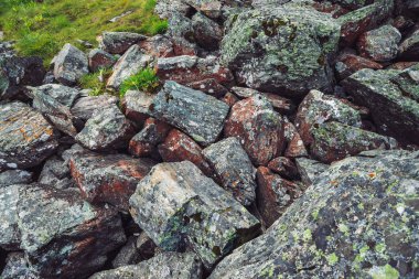 Çok renkli kaya akıntısı. Gevşek kaya yakın. Rastgele dağılmış taşlar arasında bitkiler. Yosun ve likenler ile dağlık kayalar Inanılmaz ayrıntılı arka plan. Dağlık arazinin doğal dokusu