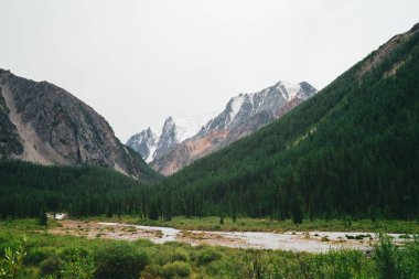Dev dağlara ve karlı üstlere karşı vadide dağ deresi. Buzula karşı deredeki su akıntısı. Zengin bitki örtüsü ve yayla ormanı. Görkemli doğanın muhteşem atmosferik manzarası.