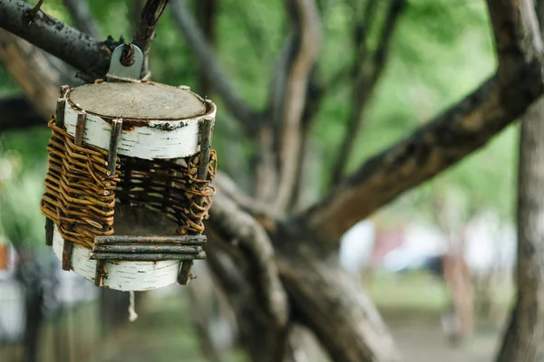 Niezwykłe Plecione Birdhouse Drzewie Środowisku Miejskim — Zdjęcie stockowe