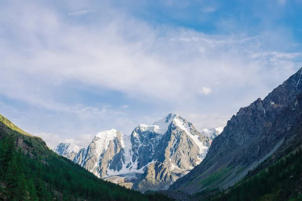 Gigantische Besneeuwde Bergtop Achter Heuvel Met Bos Onder Helder Blauwe — Stockfoto