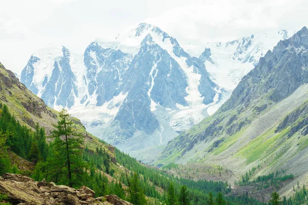 Alerce Colina Pedregosa Fondo Del Glaciar Maravillosas Montañas Nevadas Nieve — Foto de Stock