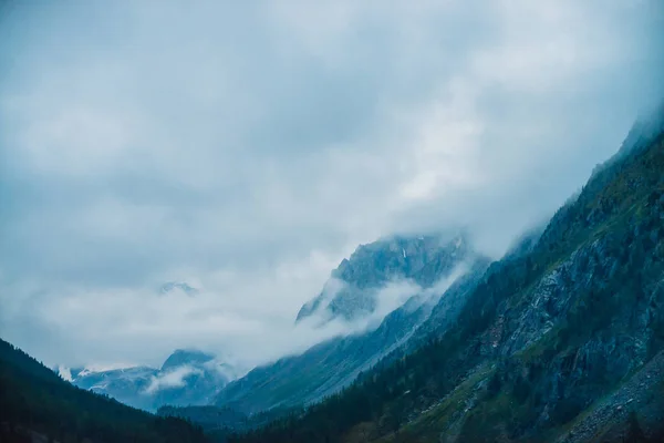 Strašidelně Obří Skály Stromy Husté Mlze Tajemná Obrovská Hora Mlze — Stock fotografie