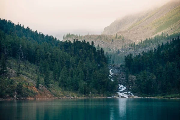 Floresta Fantasma Perto Lago Montanha Início Manhã Mountain Creek Flui — Fotografia de Stock