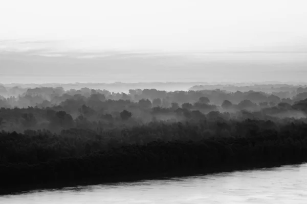 Mystischer Blick Auf Das Flussufer Einer Großen Insel Mit Wald — Stockfoto