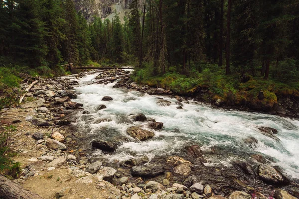 Maravilloso Arroyo Agua Rápida Desde Glaciar Arroyo Salvaje Montaña Con — Foto de Stock