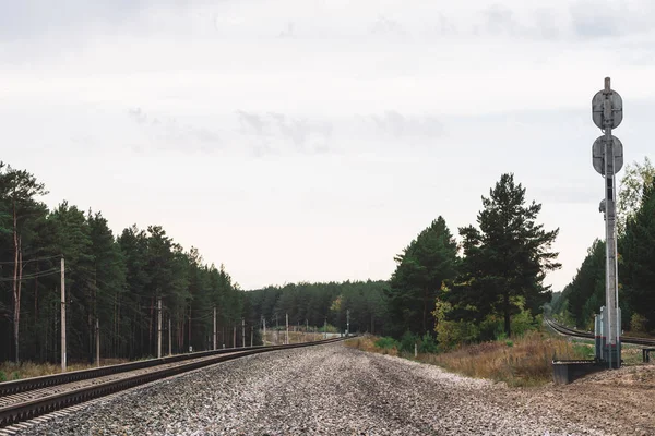 Demiryolu Orman Boyunca Seyahat Ediyor Demiryolu Nda Yolculuk Güneş Işığında — Stok fotoğraf