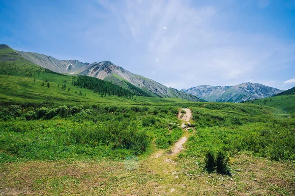 Güneşli bir günde çayır ve orman ile yeşil vadide kar ile dev dağlara Trail. Yaylaların zengin bitki örtüsü. Mavi gökyüzünün altında dere boyunca patika. Doğanın muhteşem dağ manzarası.