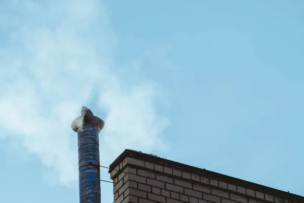 Dove on chimney above bright blue sky in cloud of steam or smoke with copy space. Small pigeon bask on pipe. Beautiful background from clear heaven above roof with silhouette of bird on pipe.