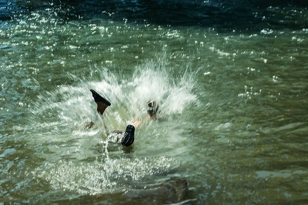 Young boy jumped into fast river face down. Legs in slippers stick out of water. Carefree children playing in mountain river. Naughty kids indulge on nature with copy space.