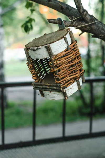 Neobvyklý Opletený Ptačí Dům Stromě Městském Prostředí — Stock fotografie