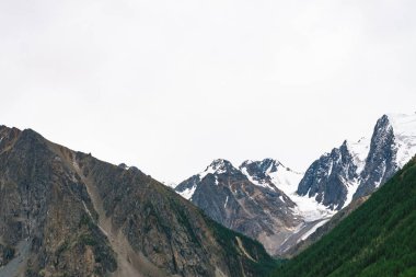 Bulutlu gökyüzü altında orman ile tepenin arkasında karlı dağ üst. Bulutlu havalarda kayalık sırt. Buzulda beyaz kar. Görkemli doğanın atmosferik manzarası.
