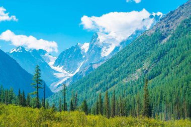 Güzel bir buzul. Orman kenarına yakın bir çayır. Kozalaklı ormanı olan tepelerin arkasında kar olan kayalık sırt. Mavi gökyüzünün altında dev karlı dağ tepesinde büyük bulutlar. Yayla doğasının atmosferik manzarası.