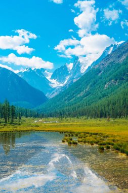 Güzel buzul alt bitkiler ile dağ saf su yansıyan. Karlı kayalar yansıması ile harika bir göl. Mavi gökyüzünün altındaki karlı dağlarda beyaz bulutlar. İnanılmaz yaz yayla manzara.