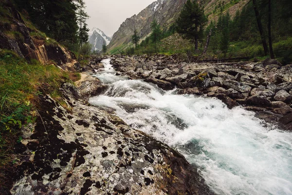 Wunderbarer Schneller Wasserfluss Vom Gletscher Wildem Gebirgsbach Mit Großen Nassen — Stockfoto