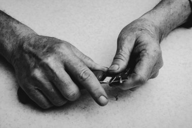 Yaşlı adam kalemi bünyeyle biler. Sanatçının elleri gri tonlamada kapanır. Tek renkli arka plan.