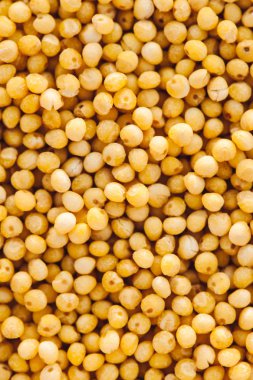 Saf darı tanesinin plasezerinin detaylı sarı dokusu nu kapatın. Hayvan yemi canlı arka plan.