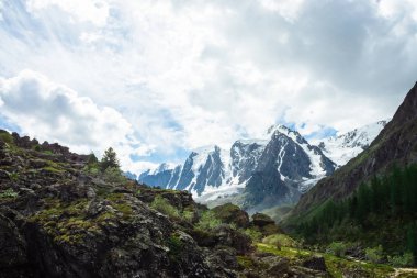 Kozalaklı ormanın arkasında inanılmaz büyük bir buzul. Bulutlu gökyüzünde karlı dağ sırası. Karla kaplı harika dev kayalık sırt. Yaylaların görkemli doğasının atmosferik manzarası. Nefes kesen dağ manzarası