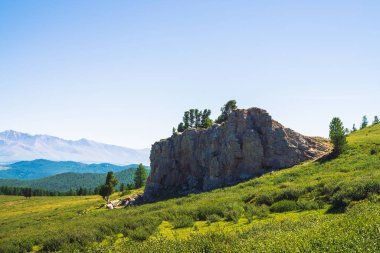Vadi ve ormanın arkasındaki dev dağlar. Yaylaların zengin bitki örtüsü ve sedir ile alışılmadık kayalık taş ile Çayır. Güneş ışığında iğne yapraklı ağaçlar. İnanılmaz dağ manzarası.