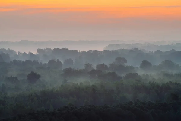 Mystischer Blick Von Oben Auf Wald Dunst Frühen Morgen Nebelschwaden — Stockfoto