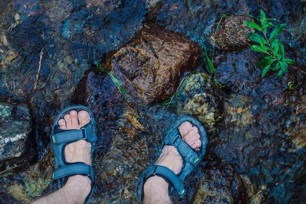 Los Pies Caminan Por Río Piernas Sandalias Sobre Piedras Mojadas —  Fotos de Stock