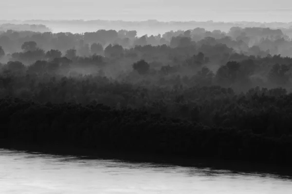 Vista Mística Margem Rio Grande Ilha Com Floresta Sob Neblina — Fotografia de Stock
