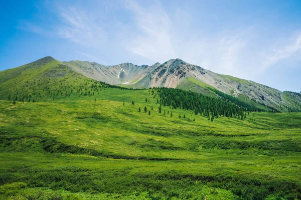 Montagne Giganti Con Neve Sopra Valle Verde Con Prato Bosco — Foto Stock